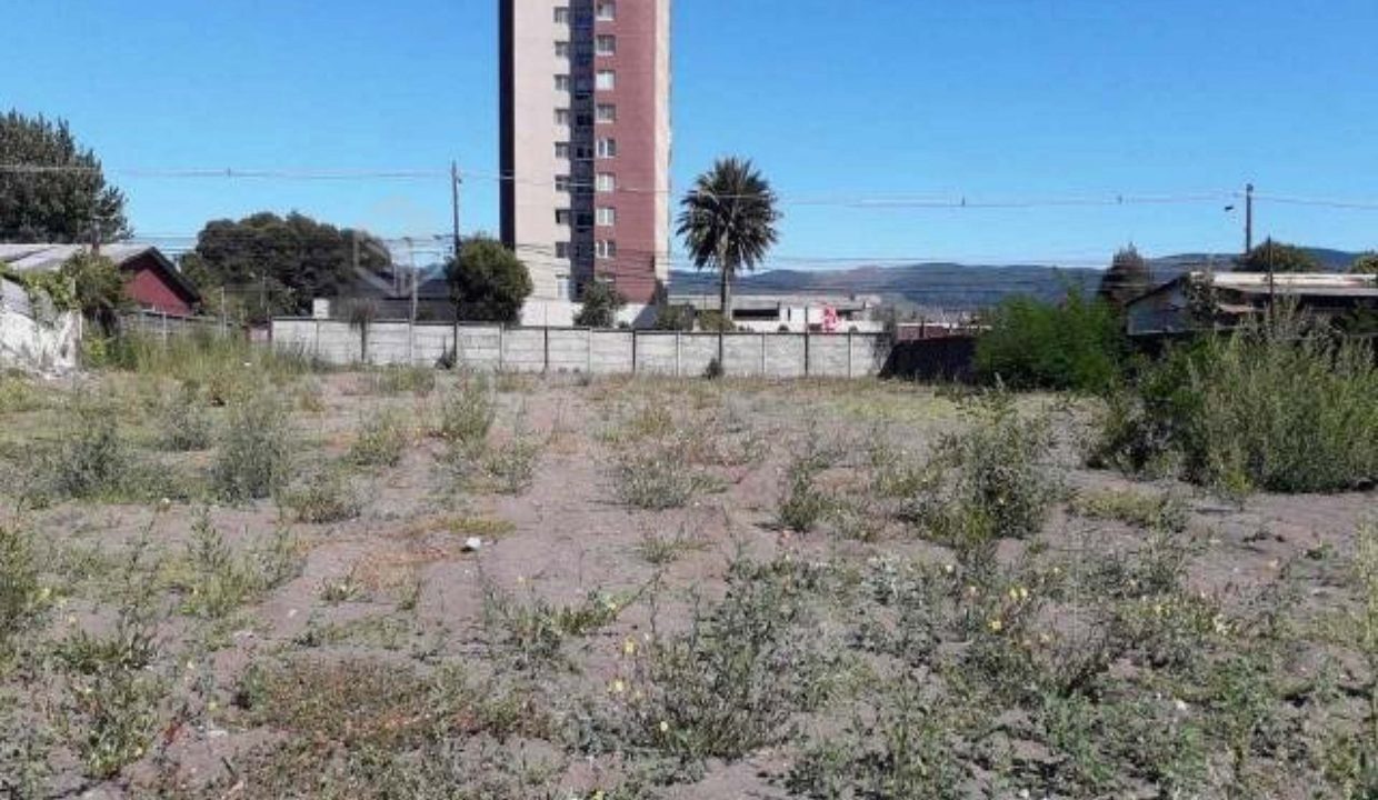 terreno01