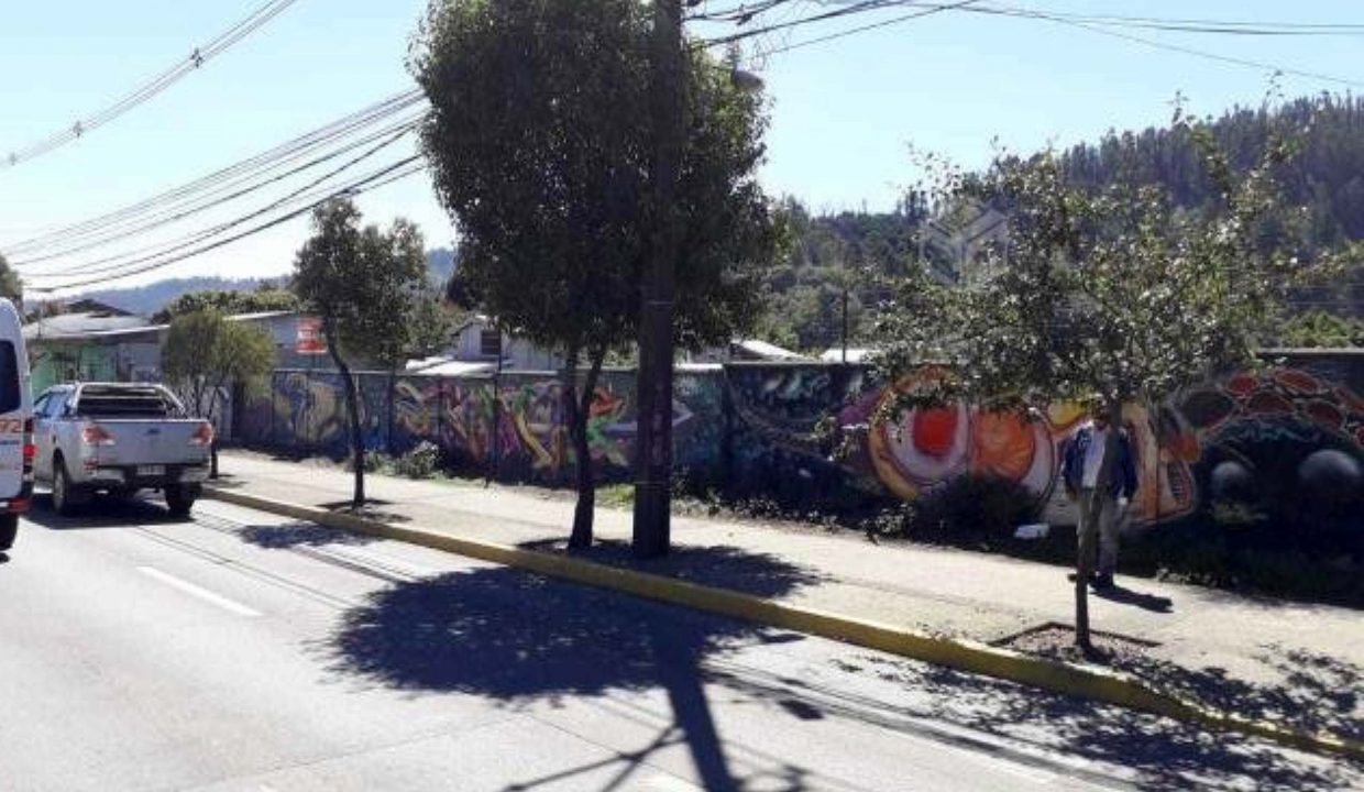 terreno02